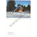 RPK-0041 - Kolmnurkne elamu lumes, uueaastakaart - 1986
